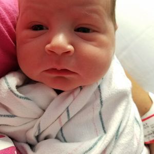 Meet your Posher, James e